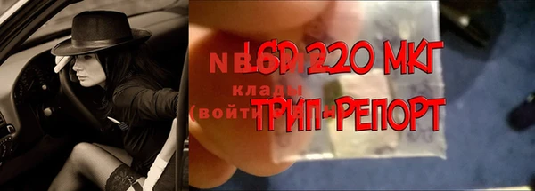 СК Баксан