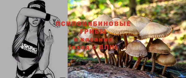 прущий лед Балабаново